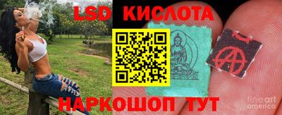 PSILOCYBIN Ирбит