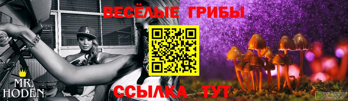 Псилоцибиновые грибы прущие грибы  Псилоцибиновые грибы Magic Shrooms  Камень-на-Оби  Вход с VPN 